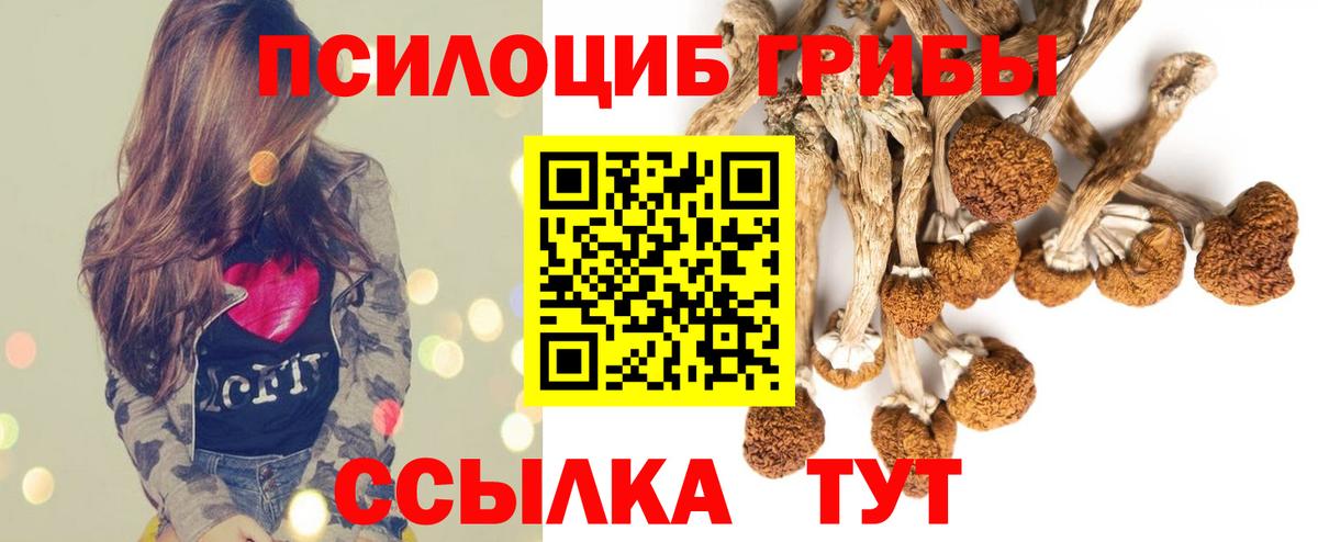 Псилоцибиновые грибы прущие грибы Нефтекумск
