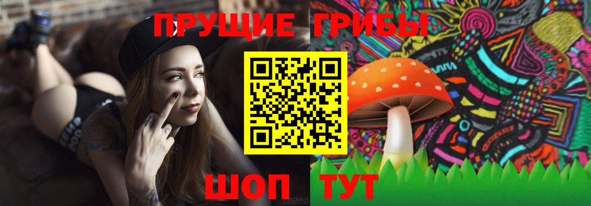 Псилоцибиновые грибы прущие грибы  Вход с VPN  дарнет шоп  Нефтекумск 